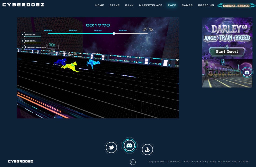 CYBERDOGZ GENERATION 1 RACES&nbsp;LIVE!